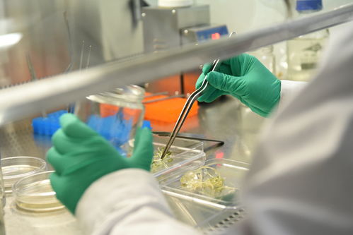 舜豐生物 以核心技術驅動，助力北方打造種業之都