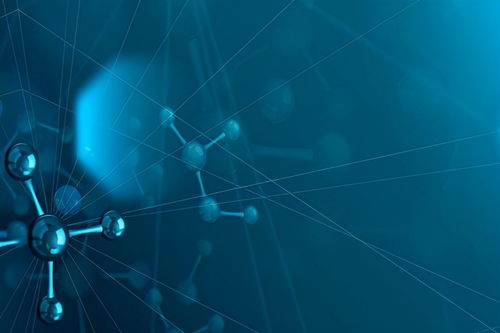 黑龍江生物技術(shù)研發(fā)公司31.42%股權(quán)轉(zhuǎn)讓公告