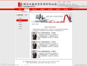 投資管理 專業(yè)與遠見的視覺呈現(xiàn)
